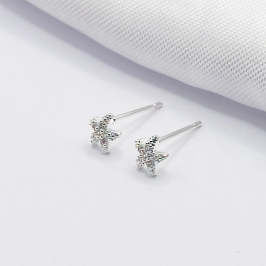 BRINCO DOURADO ESTRELA CRAVEJADA