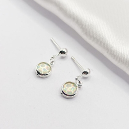 BRINCO PRATA REDONDO FURTA COR